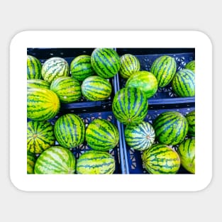 Ripe Green Watermelons Photo Sticker